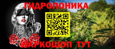 spice Бузулук