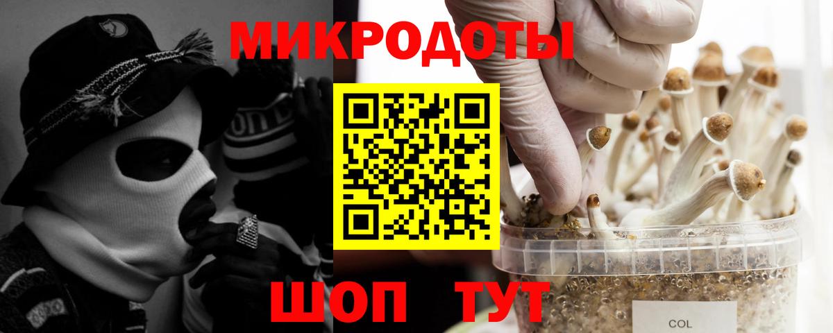 Галлюциногенные грибы Psilocybine cubensis Малоярославец